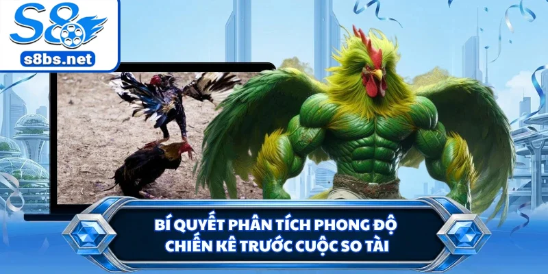 Đá Gà Thomo - Trận Đấu Chiến Kê Đầy Hấp Dẫn Tại S8 3 Bí quyết phân tích phong độ chiến kê trước cuộc so tài