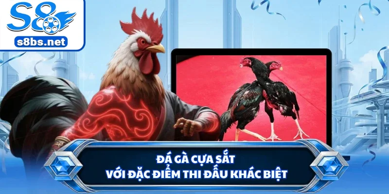 Đá gà cựa sắt với đặc điểm thi đấu khác biệt