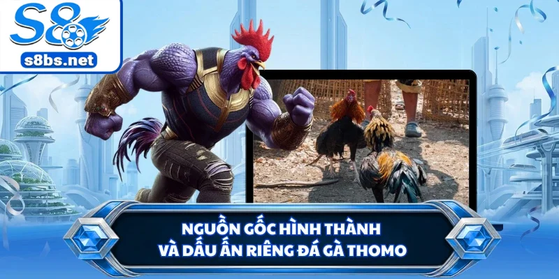 Đá Gà Thomo - Trận Đấu Chiến Kê Đầy Hấp Dẫn Tại S8 1 Nguồn gốc hình thành và dấu ấn riêng đá gà Thomo
