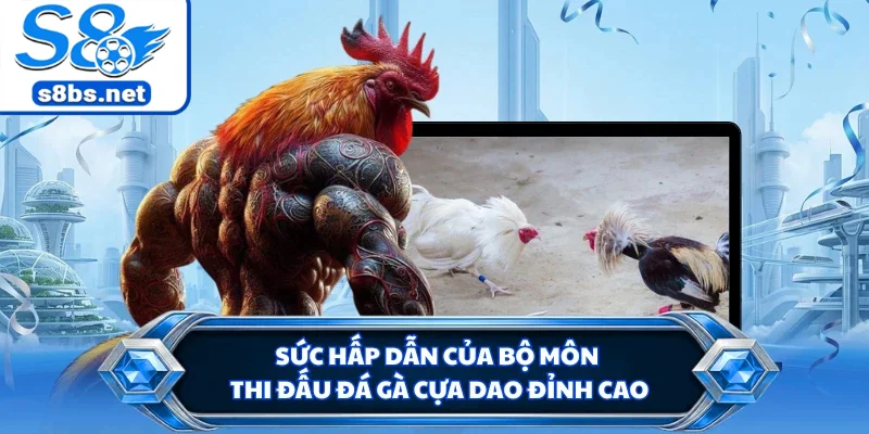 Sức hấp dẫn của bộ môn thi đấu đá gà cựa dao đỉnh cao
