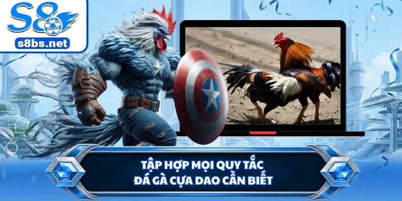 Tập hợp mọi quy tắc đá gà cựa dao cần biết